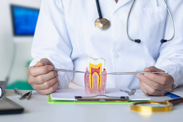 Best Weekend Emergency Dentist in Darnestown, MD
